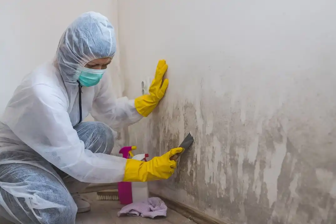 water damage restoration service Springdale